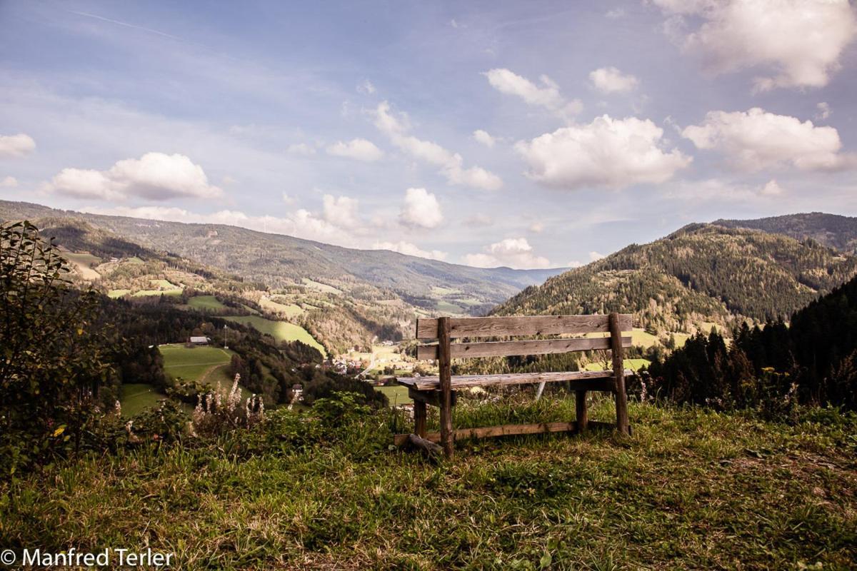 Ferienwohnung Am Sonnenweg Stanz Im Murztal Екстериор снимка