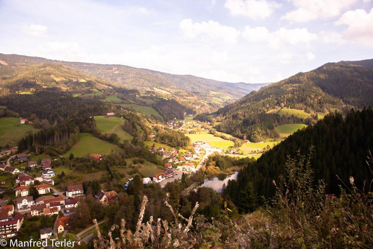 Ferienwohnung Am Sonnenweg Stanz Im Murztal Екстериор снимка